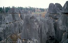 China (222 von 257).jpg